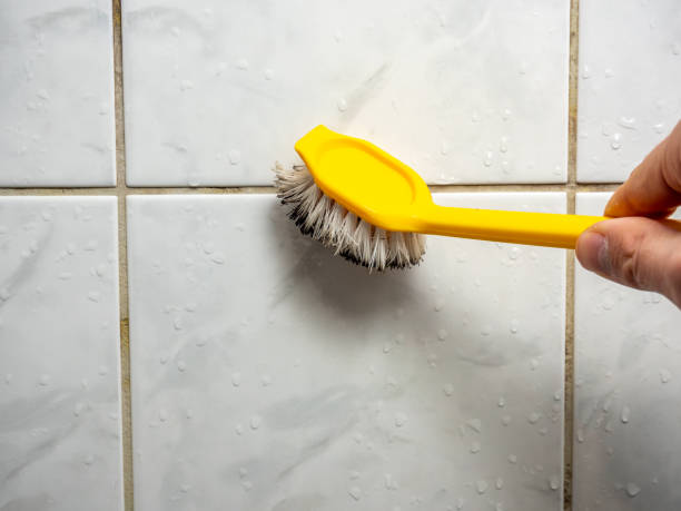 Best Emergency Mold Removal  in Lonville, GA