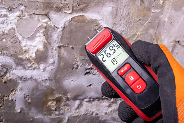 Mold Testing and Removal in Loganville, GA